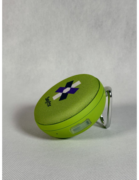 Speaker