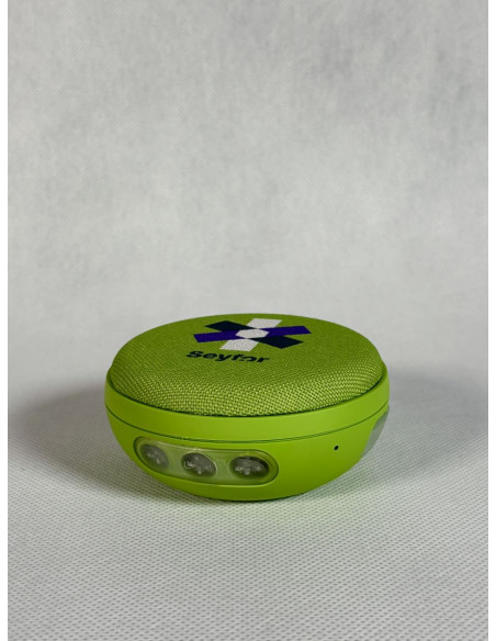 Speaker